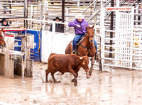 IMG_8654