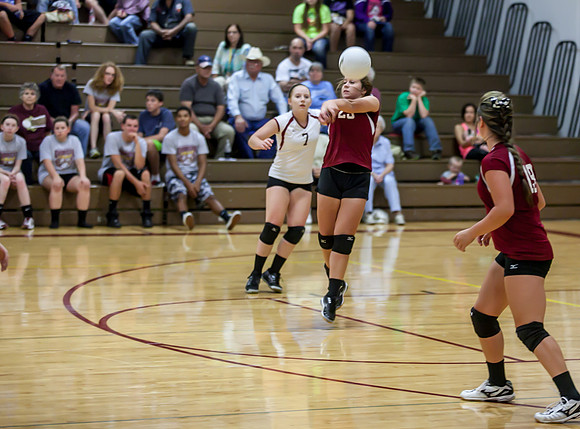 IMG_4237