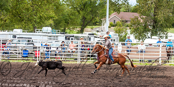IMG_8771