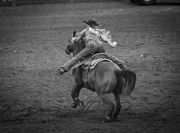 IMG_1121