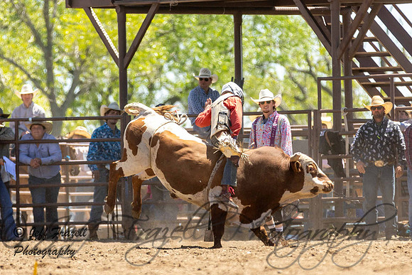 IMG_4361