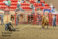 IMG_6288-Enhanced-NR