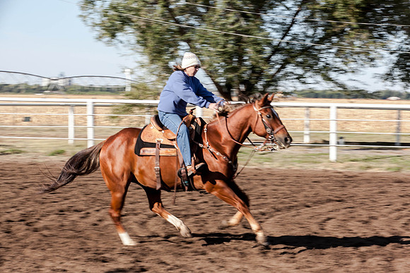 IMG_8241