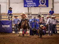 Friday 2nd Performance Tie Down Roping