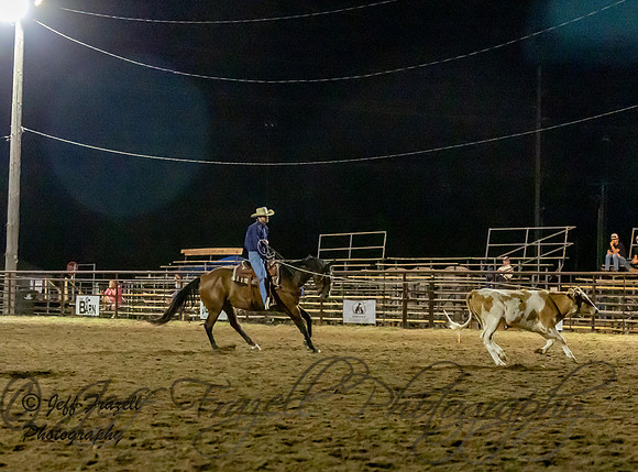 IMG_0454