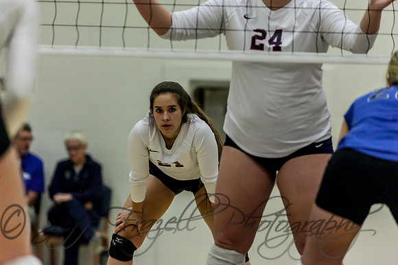IMG_3267