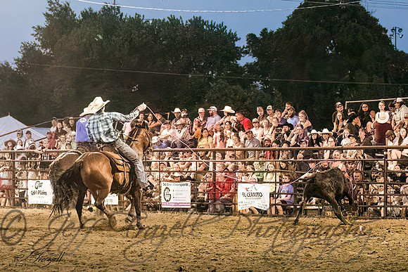 _E0I7964-Edit-Edit