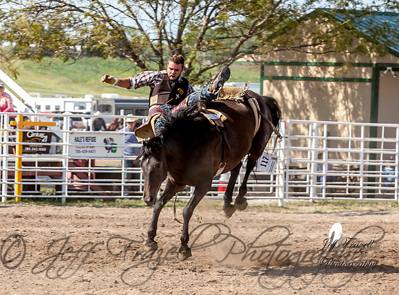 IMG_3731
