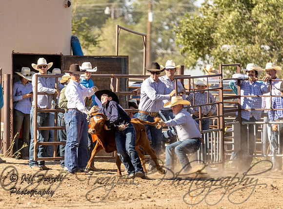 IMG_0637
