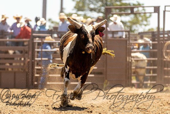 IMG_3984