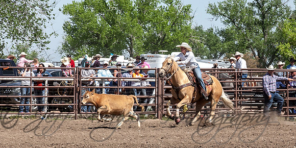 IMG_5155