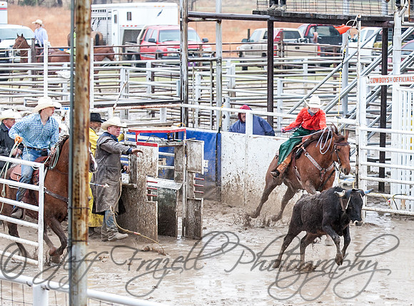 IMG_8941