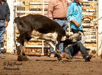 Bonus Jr High Chute Dogging Photos By Grace Davis Canton Sunday 2024