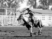 IMG_5382