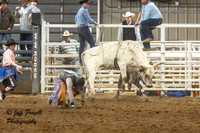 IMG_9402-Enhanced-NR