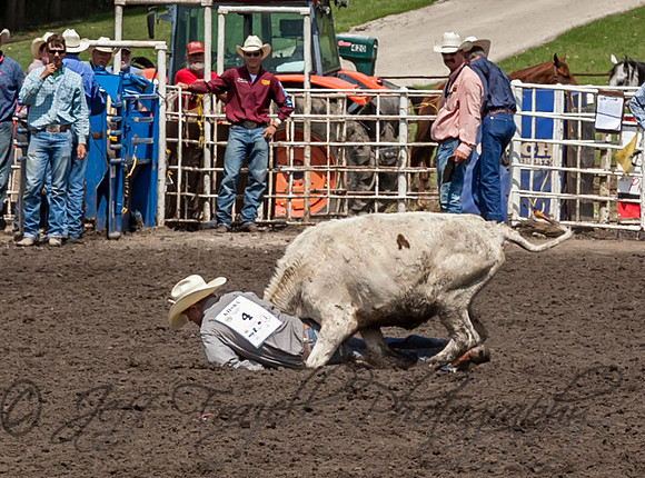 IMG_6442