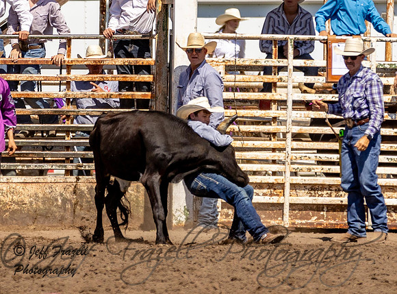 IMG_1228