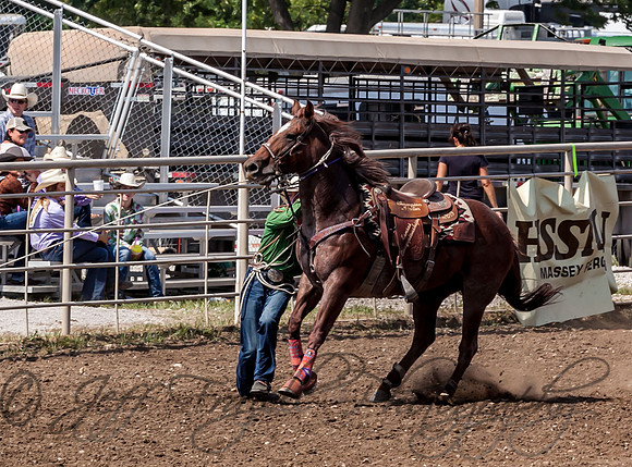 IMG_3186