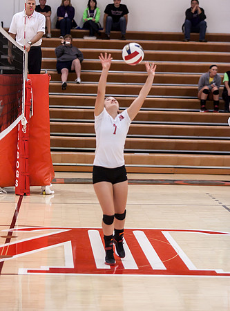 IMG_7586