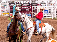 Team Roping Phillipsburg Sunday