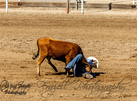 IMG_2253