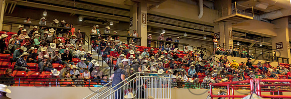 IMG_3018-Pano
