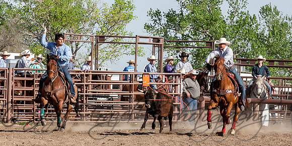 IMG_5517