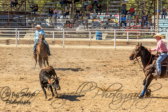 IMG_3290