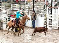 Break Away Roping