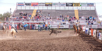 High School Team Roping
