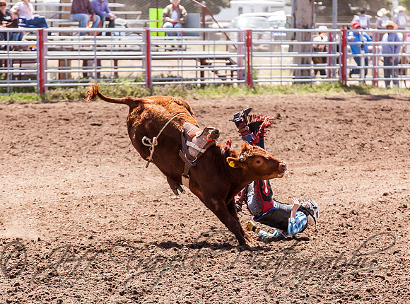 IMG_2319