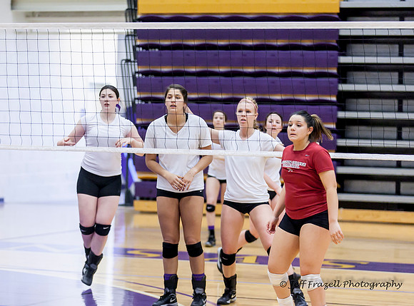 IMG_5407