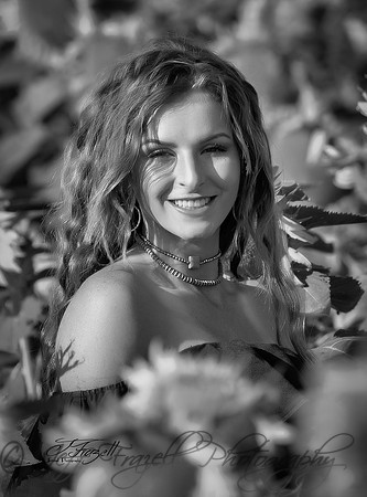_E0I1535-Edit-Edit