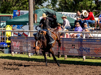 High School Saddle Bronc Canton Saturday 2024