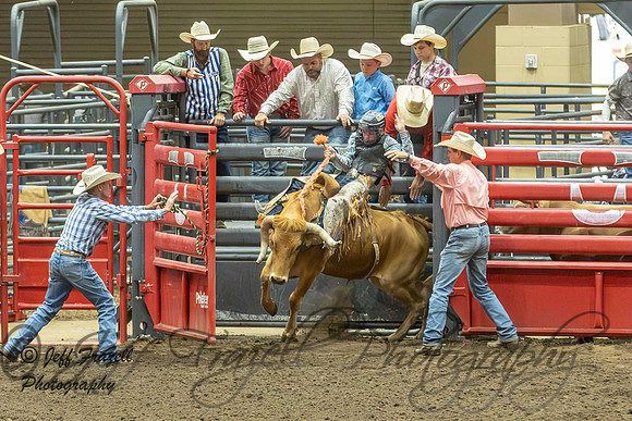 IMG_2396-Enhanced-NR