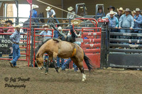 KHSRA Bareback Short Go Sunday State Finals 2025