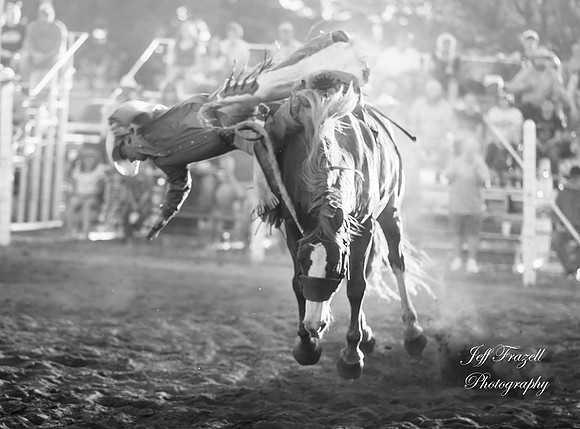 IMG_9437