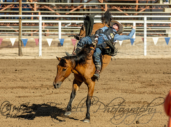 IMG_4251