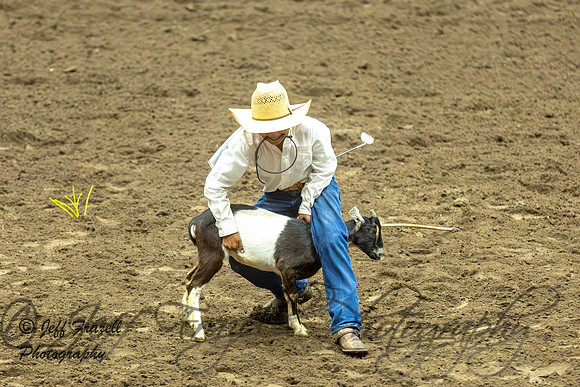 IMG_1830-Enhanced-NR