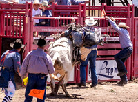 IMG_2409