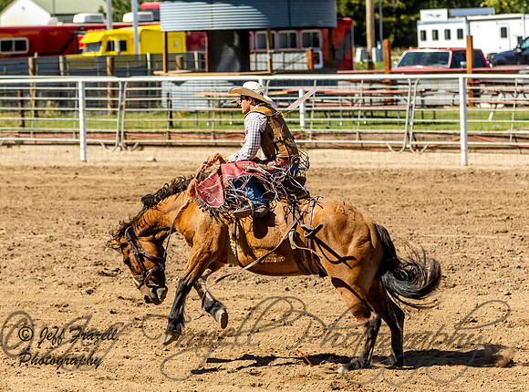 IMG_2448