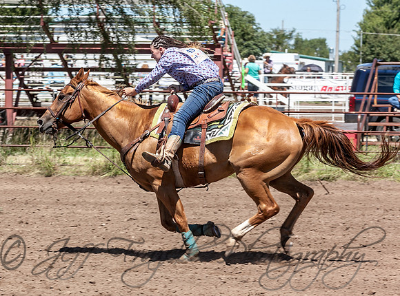 IMG_4221