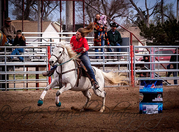 IMG_6607