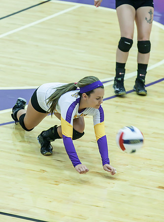 IMG_2244