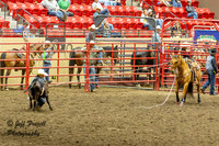 IMG_6287-Enhanced-NR