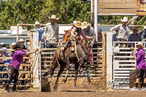 IMG_9904