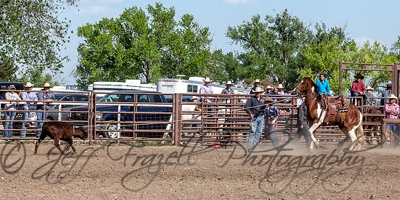 IMG_5420
