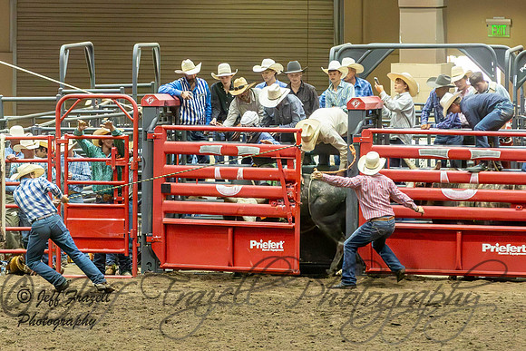 IMG_6031-Enhanced-NR