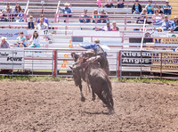 High School Saddle Broncs
