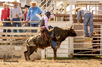 IMG_1207